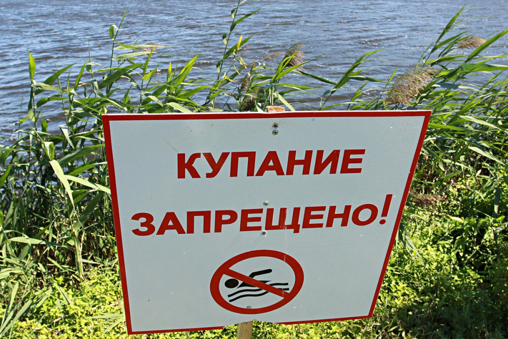 Роспотребнадзор запретил купаться ещё на пяти пляжах Тамбовской области