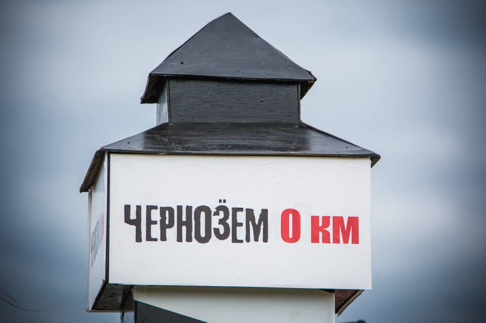 Апелляция признала запрет на проведение «Чернозёма-2020» правомерным