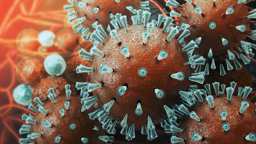 Количество заболевших коронавирусом тамбовчан практически не снижается