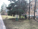 Месячник по уборке города в перейдёт активную фазу Тамбове с 14 марта