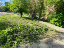 Котовск оказался не готов к урагану: деревьями перекрыты улицы, обесточены дома 