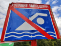 Региональное минэкологии не нашло желающих откорректировать проект расчистки Цны
