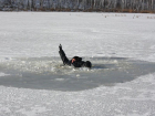 В Тамбове пенсионер катался на коньках на водохранилище и провалился под лёд