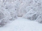 В 2021 году больше всего снега выпало в Уваровском районе
