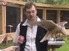«Крылья Наукограда» примут на  реабилитацию хищных птиц