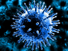 В Тамбовской области увеличивается количество заболевших коронавирусом