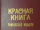 На переиздание Красной книги растений и грибов Тамбовской области потратят 1,5 млн рублей. 