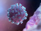 В регионе — почти 1000 заболевших коронавирусом