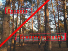 Горадминистрация пытается «отменить» разрешение на строительство в Пригородном лесу