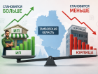 В Тамбовской области становится больше ИП и меньше юрлиц