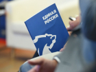 Певец, подозреваемая в мошенничестве, кандидат в Президенты РФ: самые необычные кандидаты на праймериз-2025 «ЕР» в Тамбовской области
