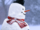 Тамбовчане лепят «откровенных» снеговиков