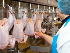 Инжавинская и Токаревская птицефабрики будут поставлять мясо кур в Китай 