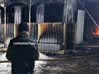 Пожары в Тамбовской области за неделю унесли жизни пяти человек