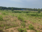 Генеральная уборка: кто-то зачистил лес от мусора перед выездной проверкой администрации Рассказовского района 