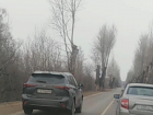 «Тойота» семьи Плахотниковых ездит в Котовск по встречке