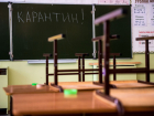 Карантин в тамбовских школах может быть продлён до 9 февраля