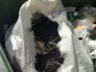В Тамбове собаку расстреляли и раненой выбросили в мусор
