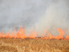 Виновных в пожаре на полях Ржаксинского района накажут