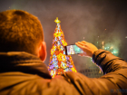 Шестнадцатиметровую новогоднюю ель со светодинамическими эффектами установят у «Кристалла» 