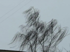 Тамбовчане в соцсетях поделились фото последствий сильного ветра