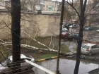 На улице 2-я Шацкая рухнувшая берёза перекрыла дорогу