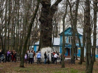 Дуб-патриарх  Асеевской усадьбы претендует на звание главного дерева страны