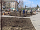 400 кустов бирючины и спиреи посадят в сквере на Полынковской в Тамбове