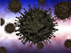 Уровень заболеваемости коронавирусом в Тамбовской области впервые снизился