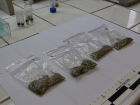 «Закладки» с наркотиками обнаружили полицейские в Тамбове 