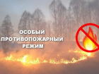 На ближайшие дни в Тамбовской области установлен особый противопожарный режим