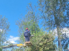 «Тамбовская сетевая компания» устраняет повреждения электросетей из-за урагана