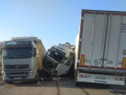 На трассе в Тамбовской области столкнулись четыре грузовика: есть погибший