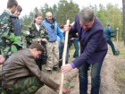 «Живи, лес!» - Тамбовская область участвует во всероссийской акции 