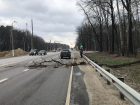 А МЧС предупреждал: трухлявое дерево упало на проезжавшую машину на трассе в Тамбовском районе 