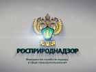 Росприроднадзор взыскал с тамбовского «ТЭКО-Сервис» 2 миллиона рублей за вред окружающей среде
