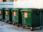 У учреждения в Тамбовской области  украли мусорные контейнеры