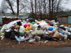 Проект экотехнопарка может решить проблему с мусором в регионе на десятки лет