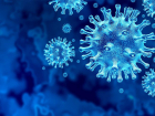 От последствий коронавируса на этой неделе скончалось 58 тамбовчан