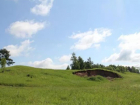 В регионе нашли ещё 14 объектов археологического наследия