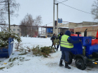 В Тамбове 80 кубометров новогодних ёлок превратились в 12 кубометров щепок
