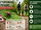 С начала сезона клещи покусали более 700 жителей Тамбовской области
