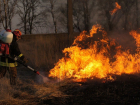 Из-за высокой пожароопасности тамбовчанам запрещено посещать леса