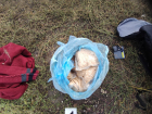 Полицейские «накрыли» подпольную нарколабораторию в Тамбовской области