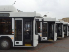 Десять автобусов, купленных по казначейскому кредиту, отправятся в Моршанск