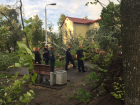 В Котовске до сих пор не убраны поваленные ураганом деревья 
