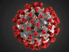 За неделю от последствий коронавируса скончались 77 человек