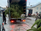 «Тамбовская сетевая компания» отправит на переработку более 400 отслуживших праздничных деревьев 