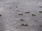 К концу рабочей недели в Тамбове ожидается дождь и потепление