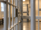 16-летнюю жительницу Рассказова отправили в воспитательную колонию за попытку сбыта наркотиков